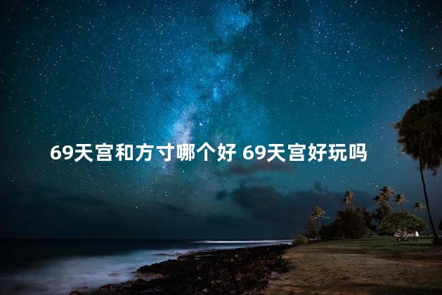 69天宫和方寸哪个好 69天宫好玩吗